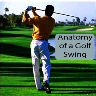 Golf Swing Profiler