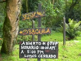 Finca Dracula