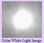 Solar White Light