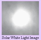 Solar White Light