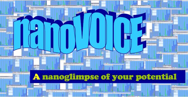 nanoVoice