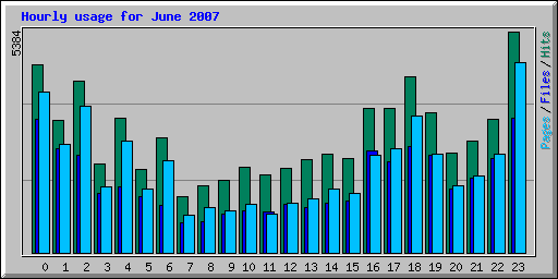 Hourly usage for June 2007